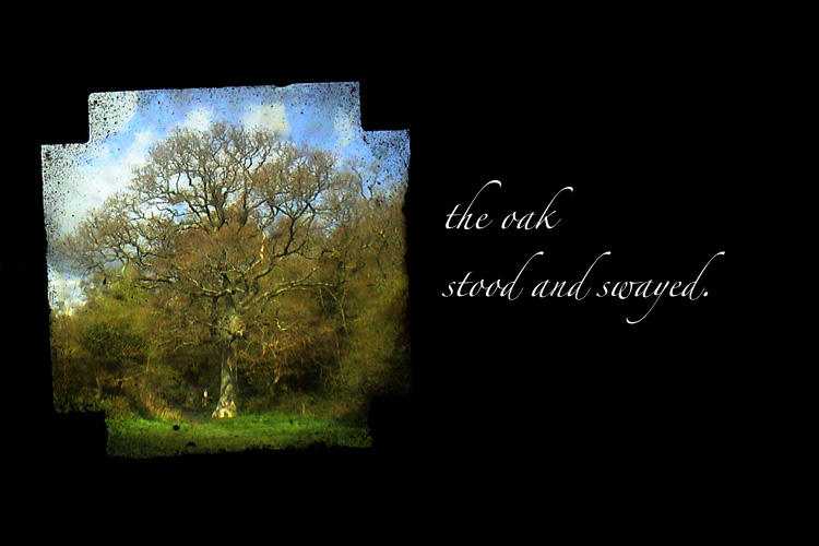 The oak